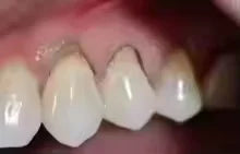 S37760313dcad473bb2cfea5af299554fG.jpg